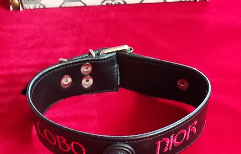 289960625_2432186490290749_500131819438217834_n-2-844x540 Arcón Ceremonial BDSM