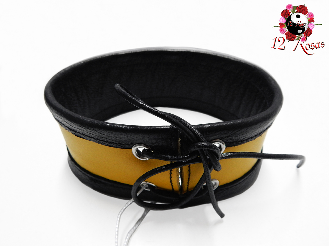 C-051_Alexicus_Yellow_Rear