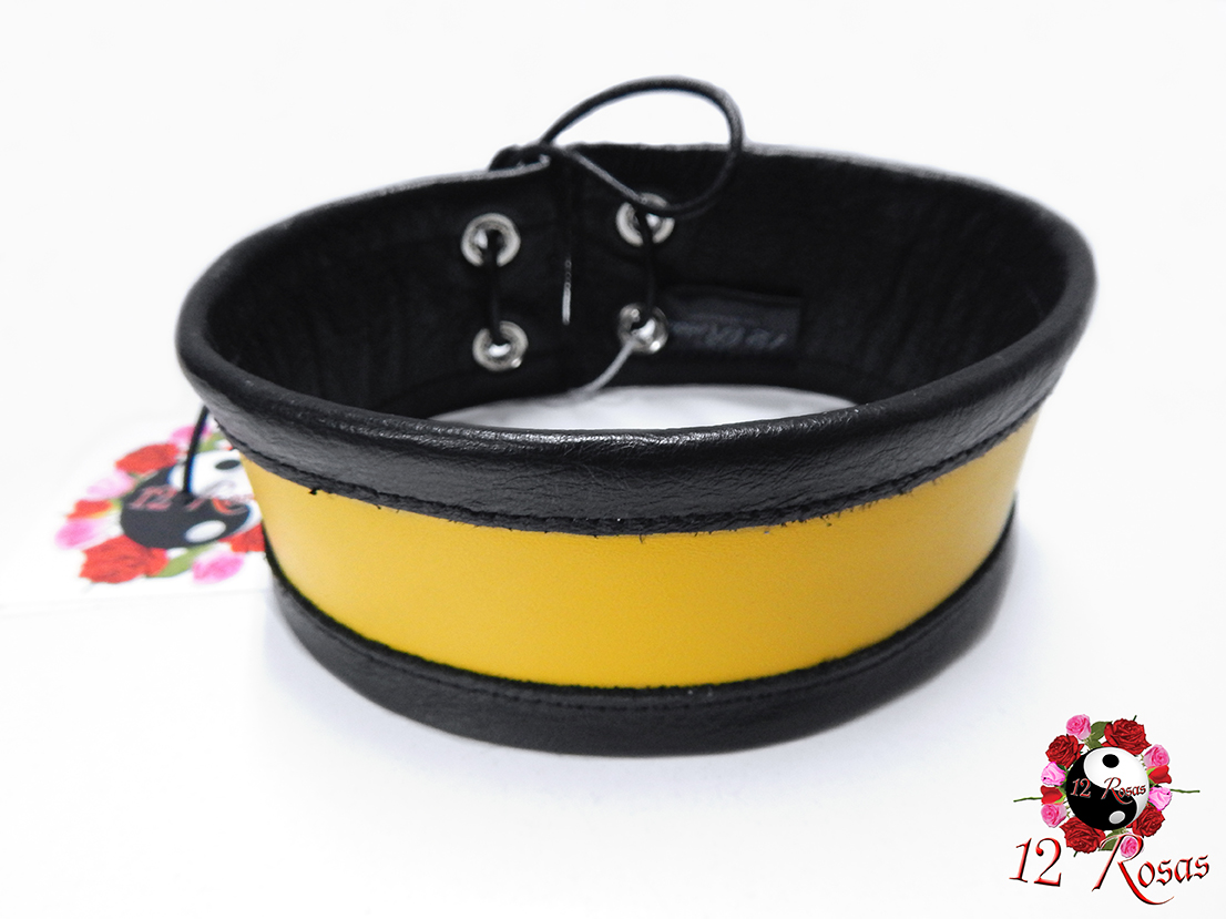 C-051_Alexicus_Yellow_Rear