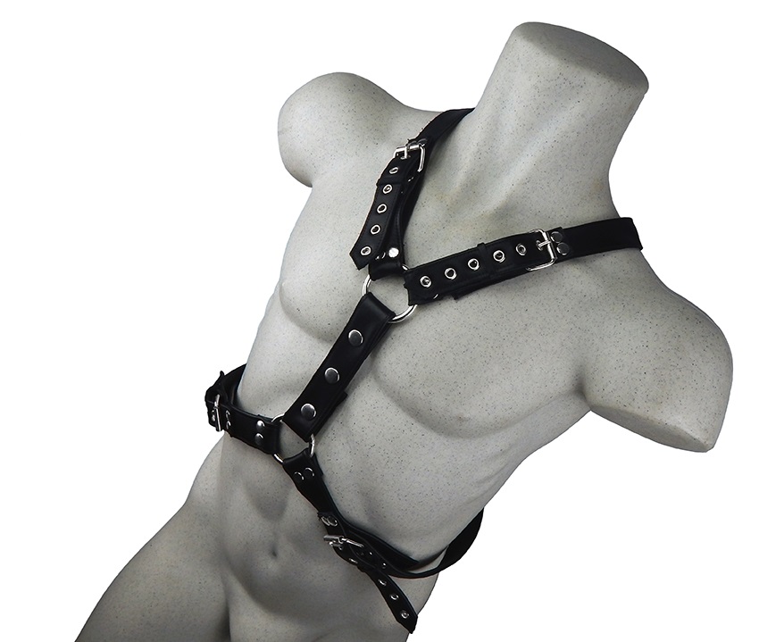 Arnes Atticus - Imagen 4