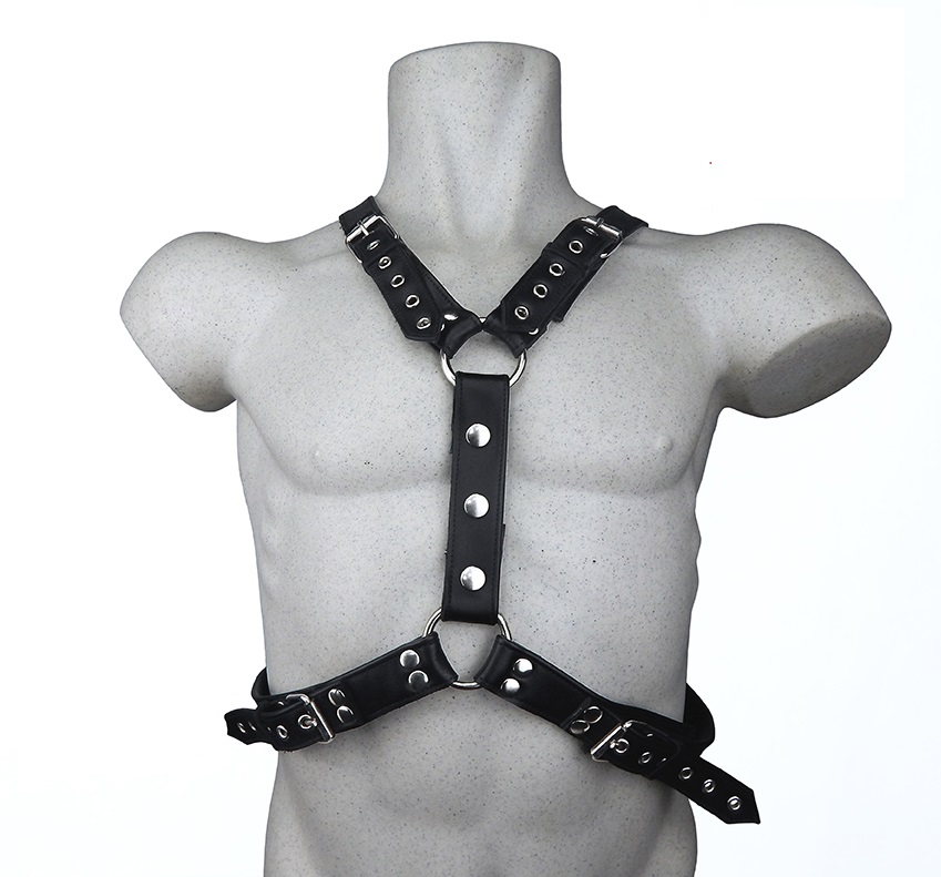 Arnes Atticus 2 ArnesAtticus1