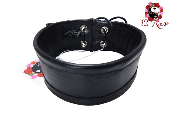C-051_Alexicus_Black_Rear