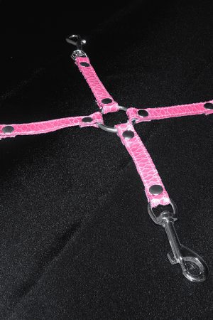 Hogtie Barbie