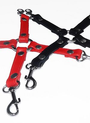 Hogtie