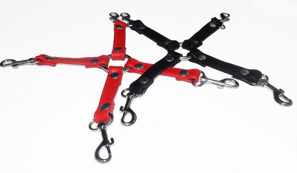 Hogtie