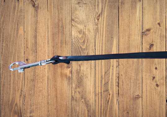 Correa de Paseo Dominatux 5