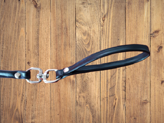 Correa de Paseo Dominatux 4