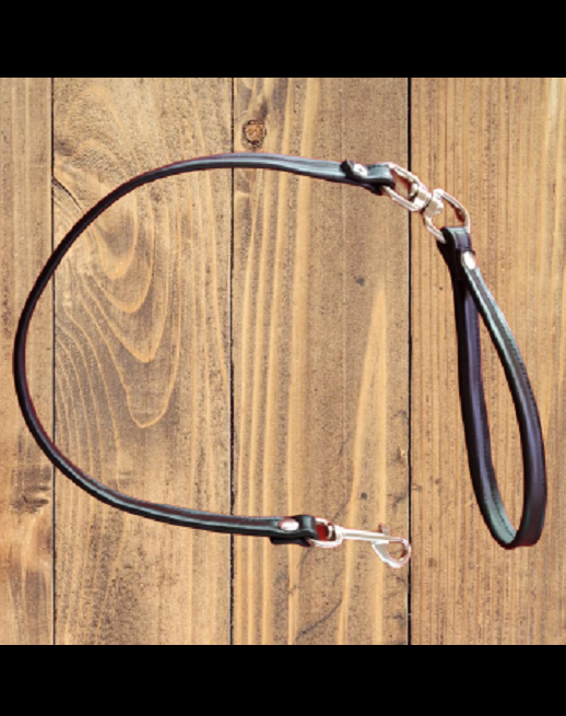 Correa de Paseo Dominatux 6