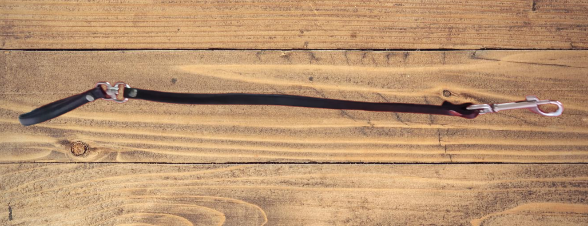 Correa de Paseo Dominatux1