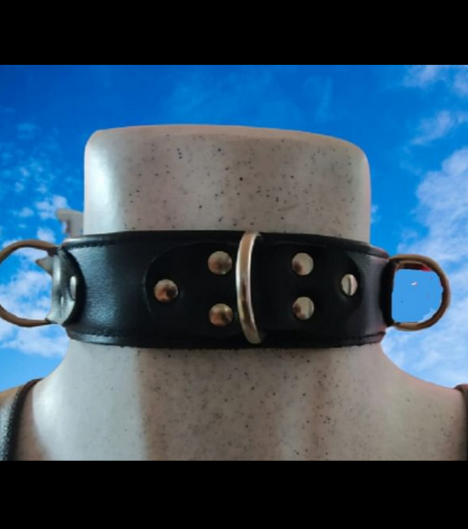 collar 3 D1