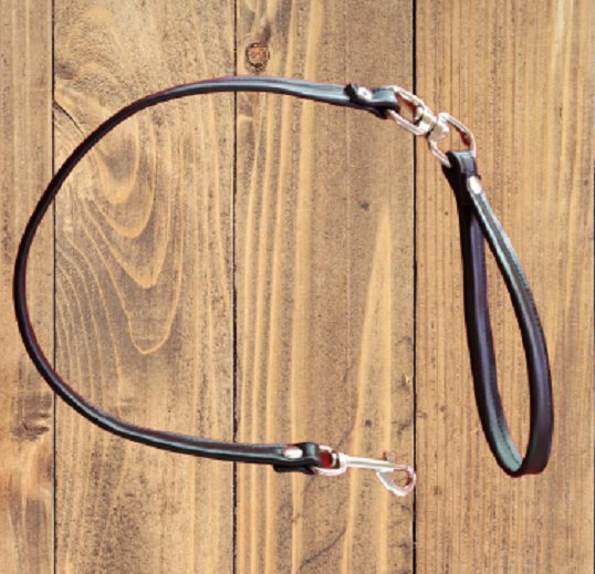 Correa de Paseo Dominatux - Imagen 7