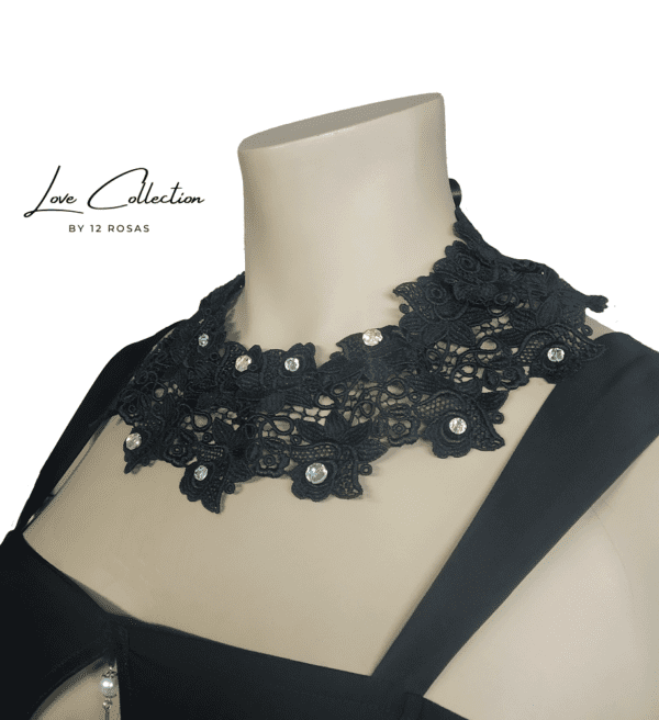 Collar Anat 2
